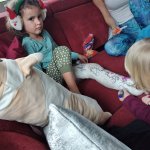 phoca_thumb_m_u leuky 22 Fotogalerie